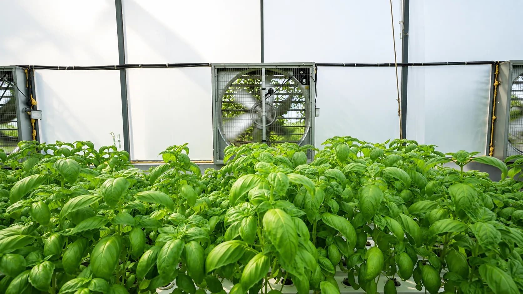 Nutrient dosing and irrigation control installation