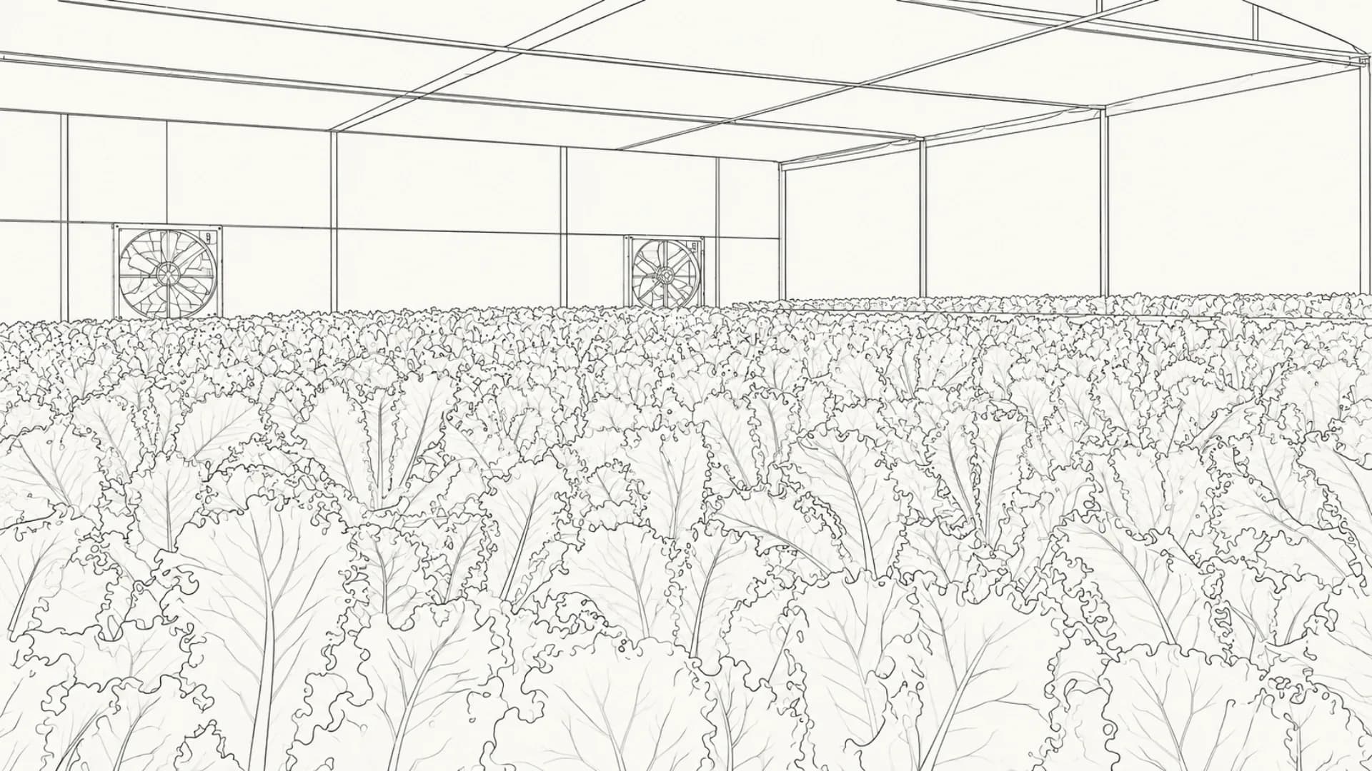 Agricultural automation systems across greenhouse and field operations