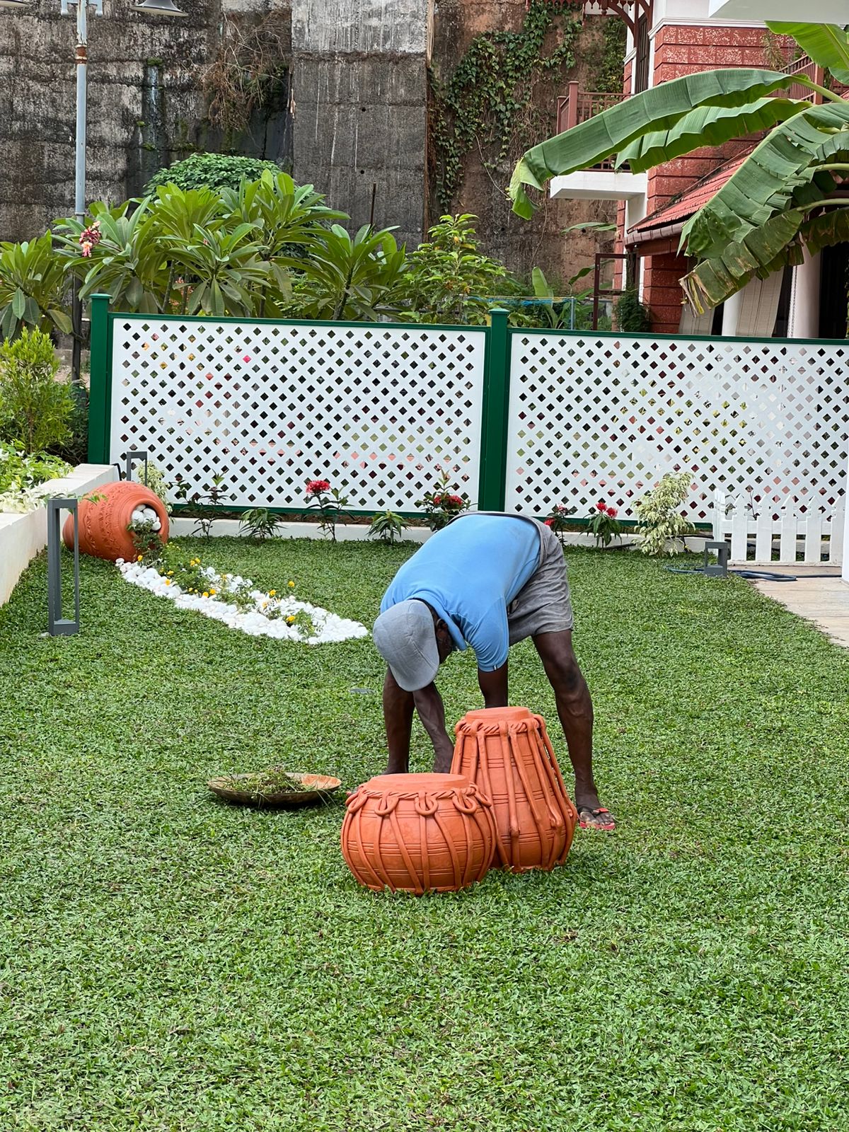 Farm with irrigation